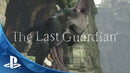 The Last Guardian PS4 MÍDIA DIGITAL